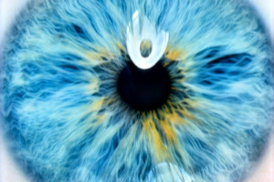 Gros plan sur un iris — ophtalmologie M'Eye Clinic Nice